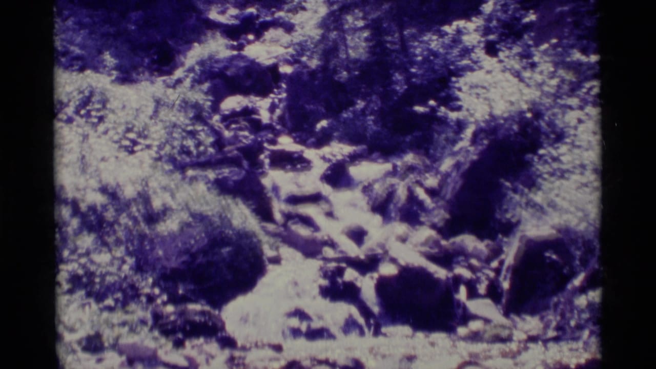Narrow stream channel with stones, boulders, and surrounding foliage.