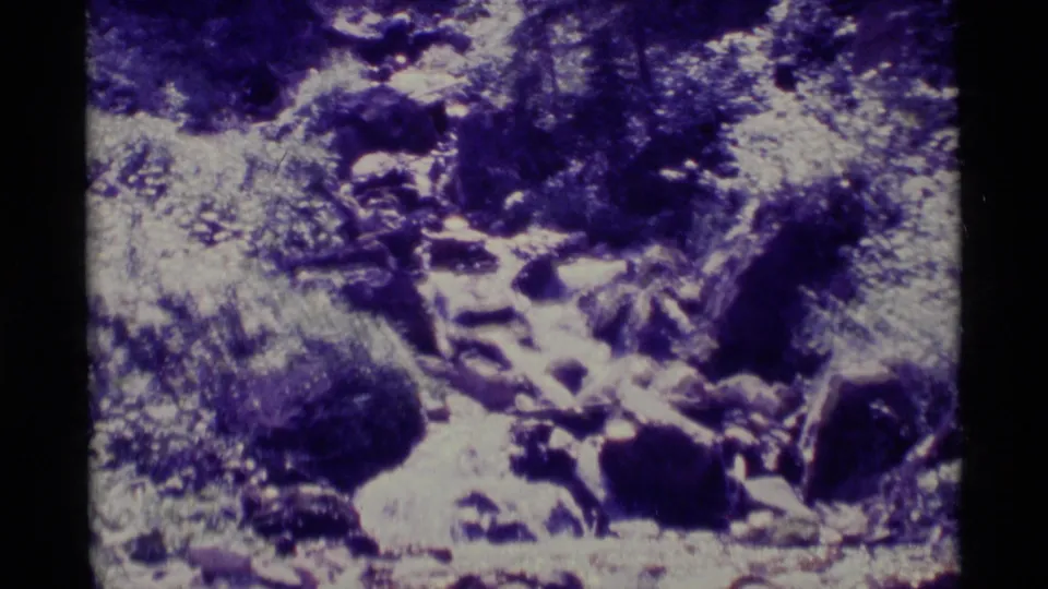 A wooded Montana stream appears in soft, purple-shifted 8mm footage, with rocks and vegetation filling the frame.