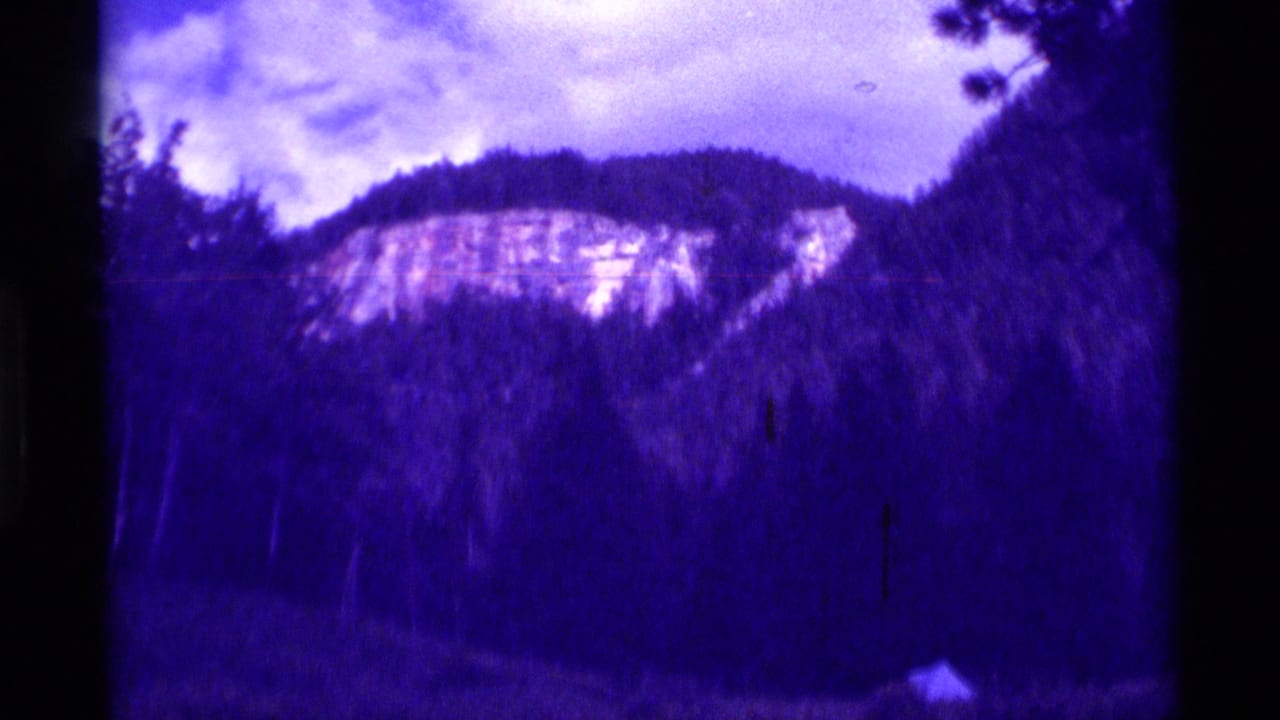 Purple-tinted forested hillside with a pale rocky cliff face and dark tree silhouettes.