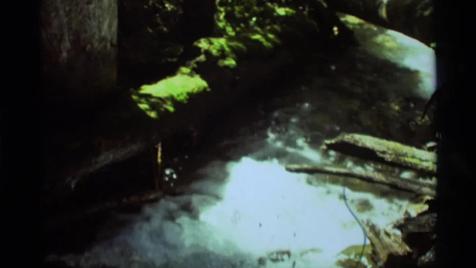 1975 Agate Springs 8mm frame of shallow water flowing past dark logs, mossy wood, and bright patches of sunlight.