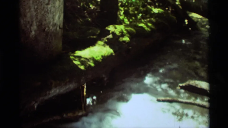 Handheld 1975 Agate Springs 8mm view of a mossy log and shallow stream water under dappled woodland light.
