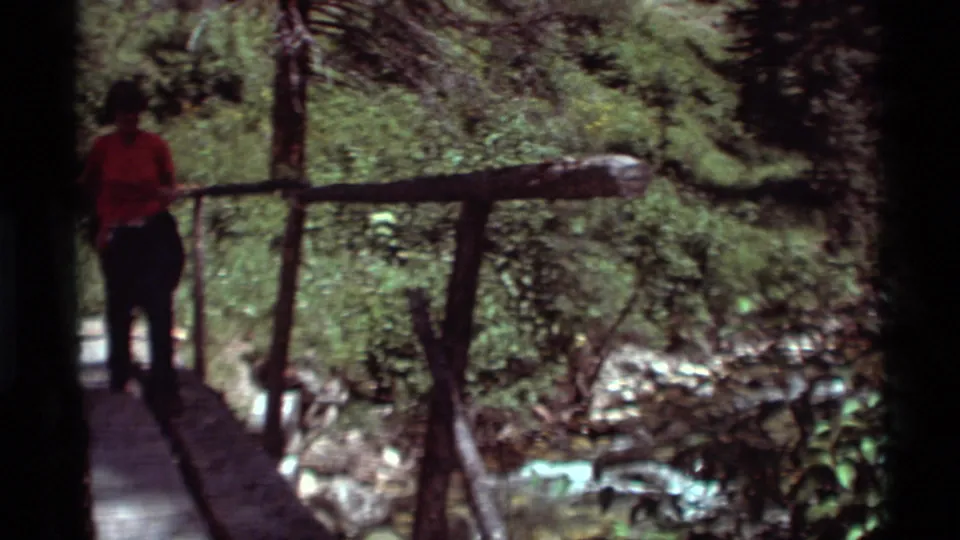 A sightseer in a red shirt crosses a narrow wooden footbridge toward the camera in a wooded Montana stream setting.