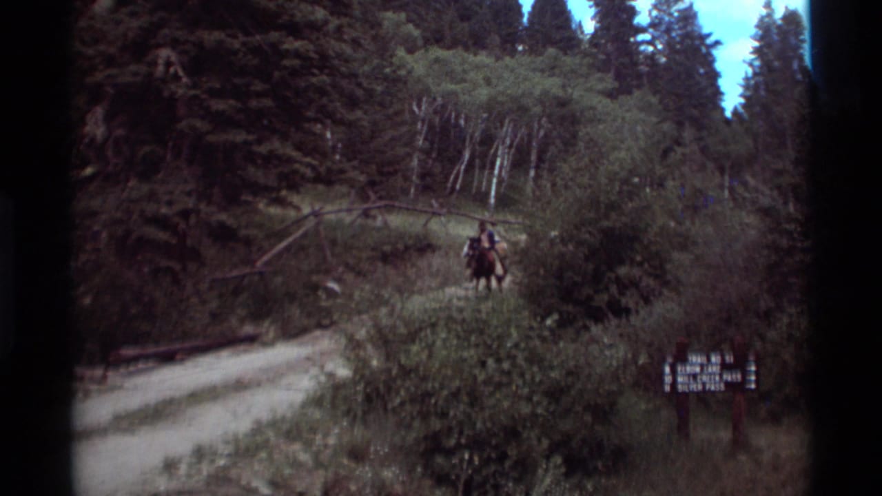 Distant riders on horseback approach along a forest trail near a wooden sign.
