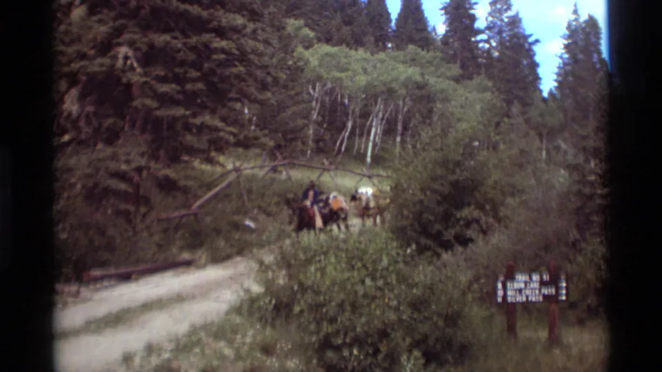 A group of horseback riders moves together on a forested trail in Agate Springs, Montana, with road, trees, and sign visible below.