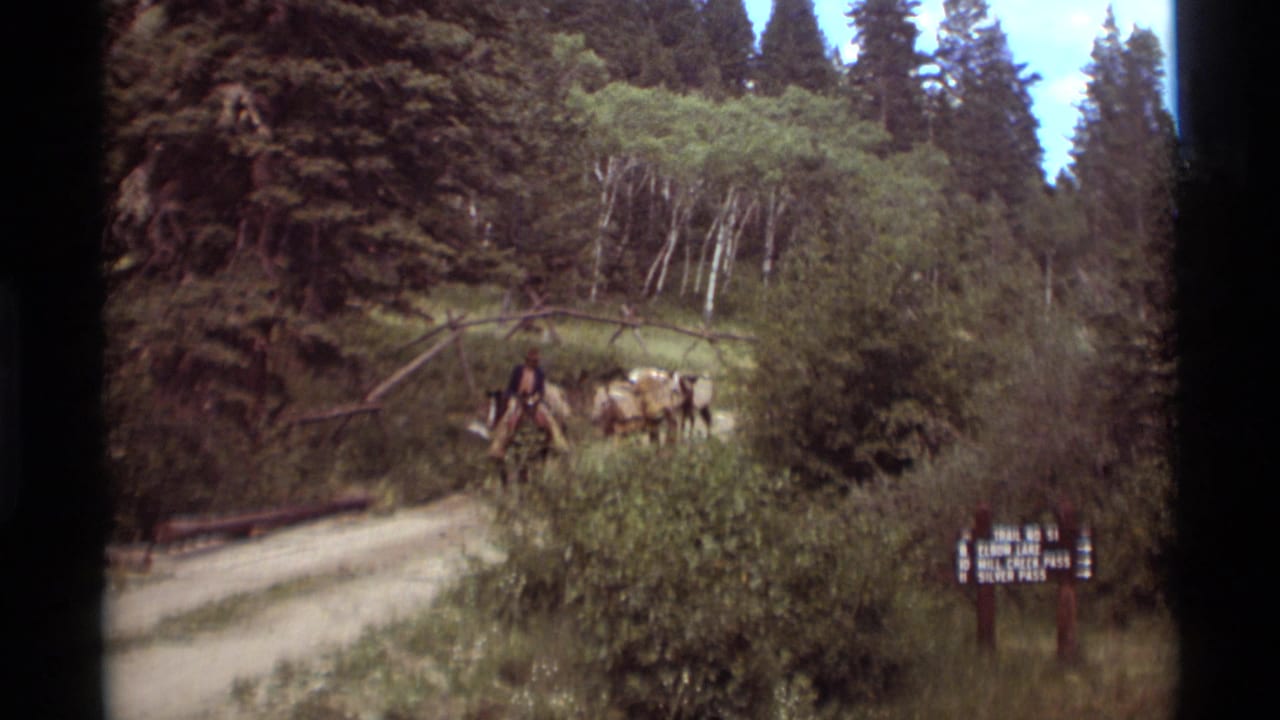 Mounted rider leading pack animals on a forest trail near a wooden sign.