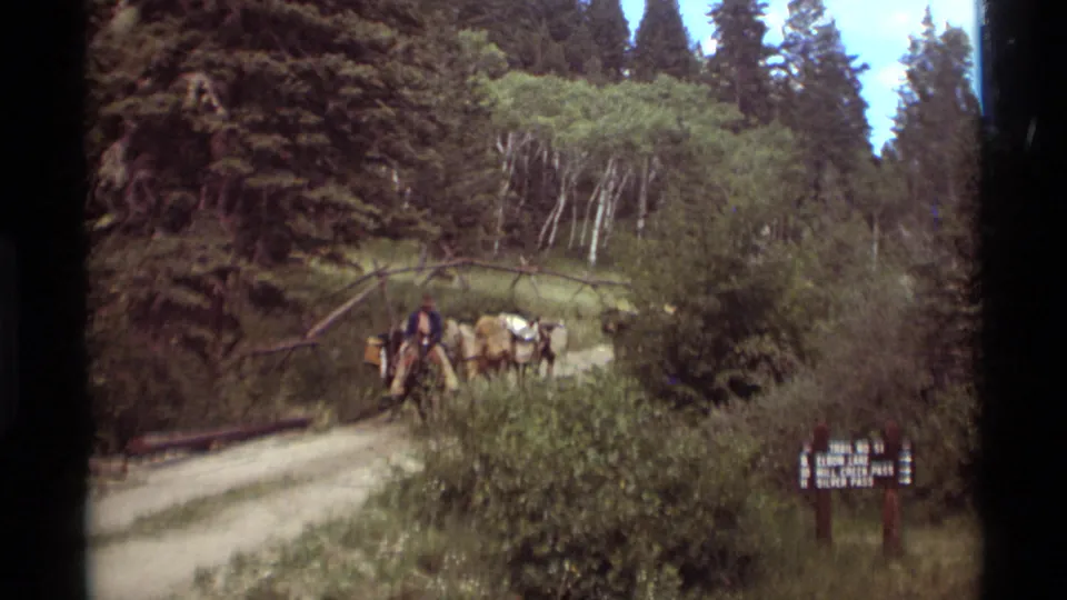 A mounted rider leads pack animals through the wooded Agate Springs trail area, with a readable wooden sign at right.