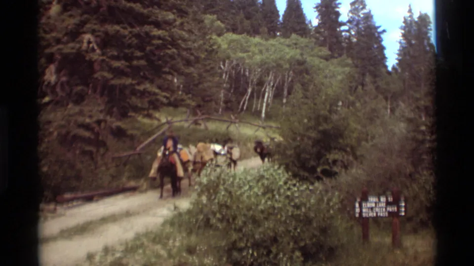 1975 Montana home-movie frame of a rider nearing the camera while loaded pack animals follow along a forest trail.