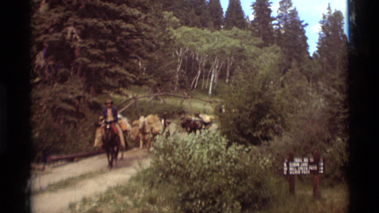 Rider on horseback leads loaded mules along a forest dirt trail beside a small sign.
