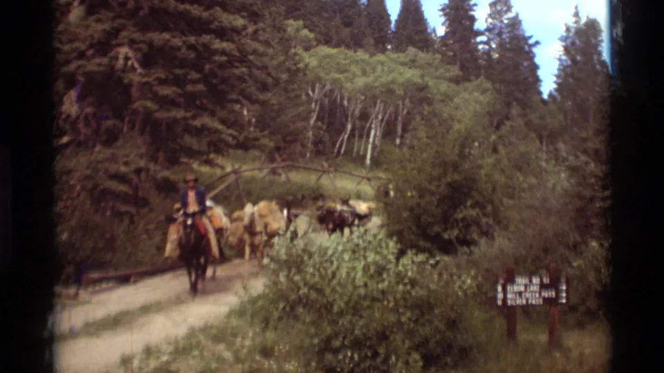 In 1975 Agate Springs, Montana footage, a cowboy-hatted rider leads loaded mules past trees and a trail sign on a wooded dirt path.