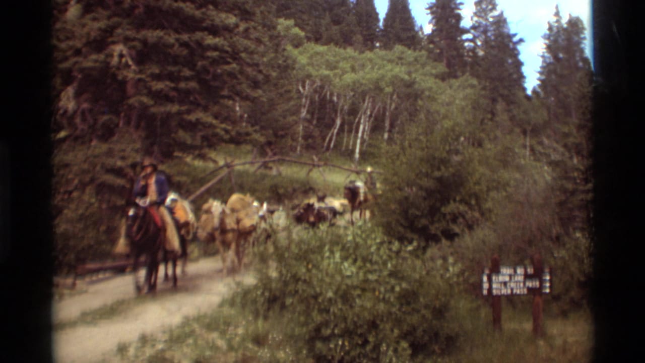The horseback rider and mule pack train continue through the Agate Springs forest trail, with dense greenery and a posted sign at right.
