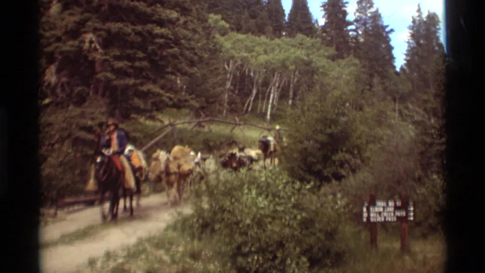 The horseback rider and mule pack train continue through the Agate Springs forest trail, with dense greenery and a posted sign at right.