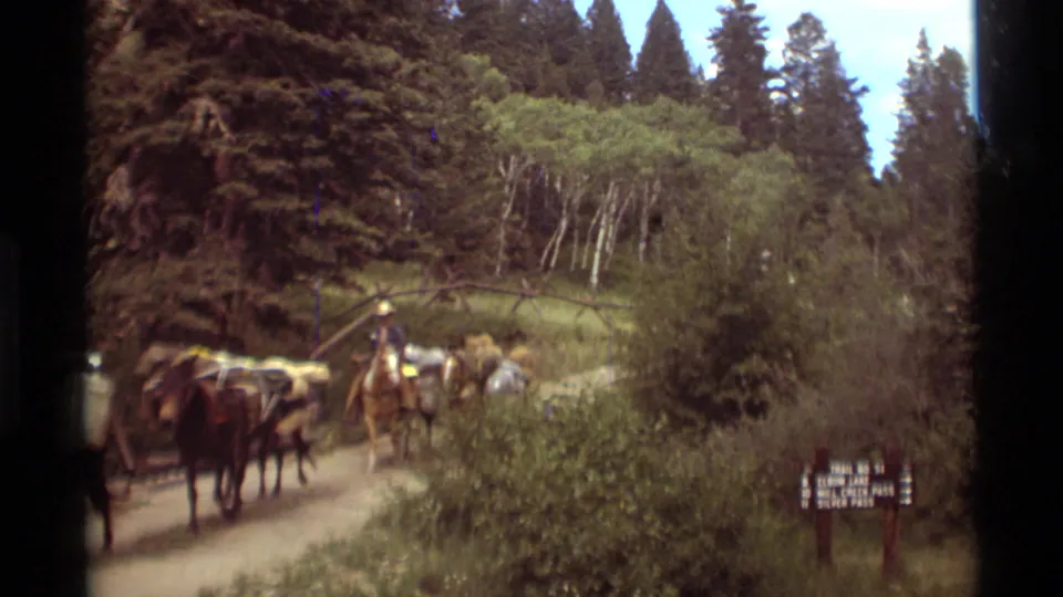 The 1975 home-movie frame shows the mule pack train continuing along the Agate Springs forest path, partly obscured by foreground brush.