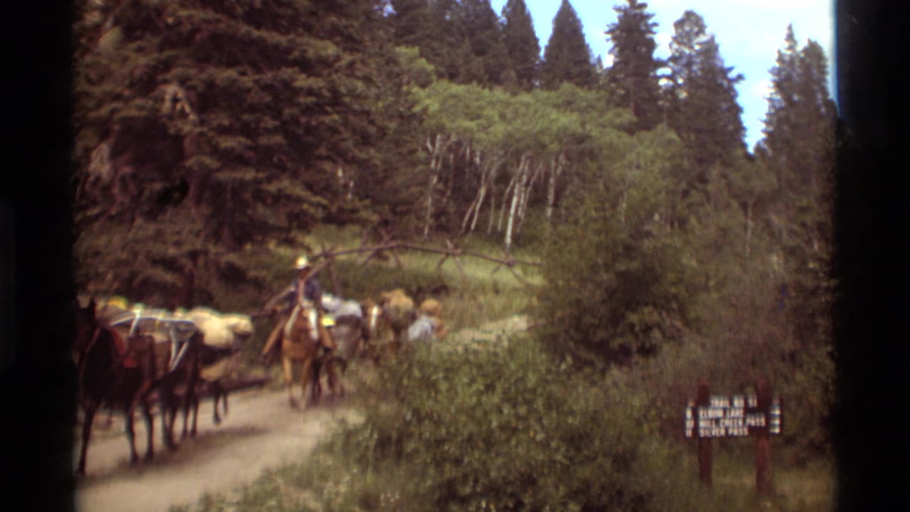 In 1975 Montana home-movie footage, a rider in a light cowboy hat leads loaded pack animals along a wooded dirt trail.