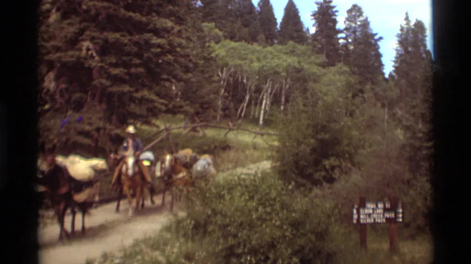 The mule train continues through the Agate Springs forest, with riders, loaded animals, brush, evergreens, and a trail sign visible.
