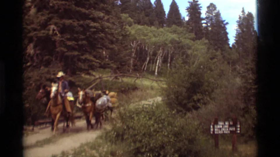 A rider in a light cowboy hat approaches the camera as pack animals follow on a wooded trail in the 1975 Montana clip.