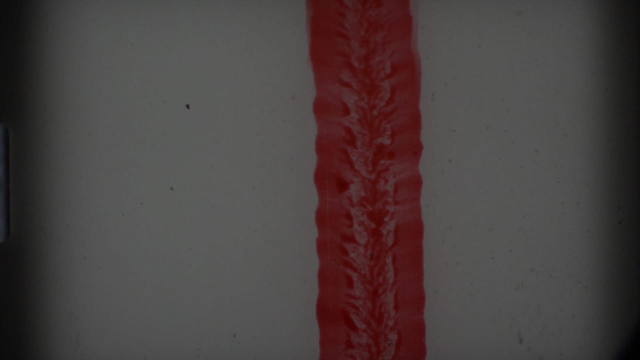 1977 8mm Alaska reel opening begins with a red vertical strip against a gray, grainy frame and dark film-gate shadows.