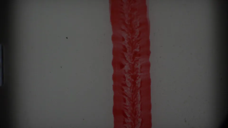 1977 8mm Alaska reel opening begins with a red vertical strip against a gray, grainy frame and dark film-gate shadows.