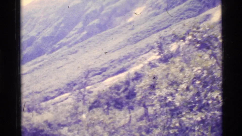 Alaska home-movie frame showing a snowy mountain slope with scattered trees, soft focus, and visible 8mm film texture.