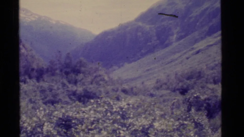 1977 Alaska landscape frame with dense brush in the foreground and steep mountain walls receding into haze.