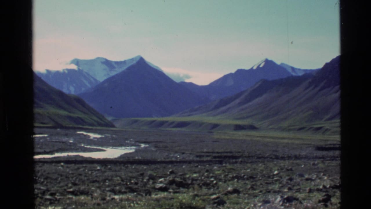 Mountain valley with braided water channels and distant snowy peaks.