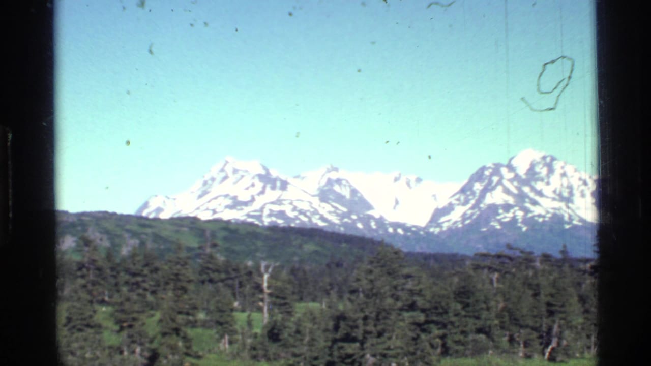 Snow-capped mountains rise beyond a dark evergreen forest.