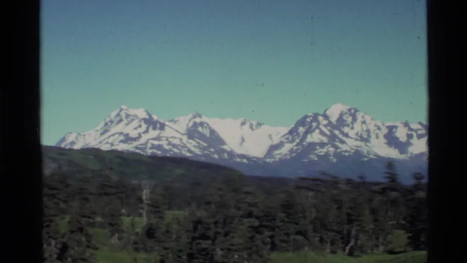 A wide Alaska mountain range with snowfields is filmed over green hills and evergreen forest in saturated 8mm color.