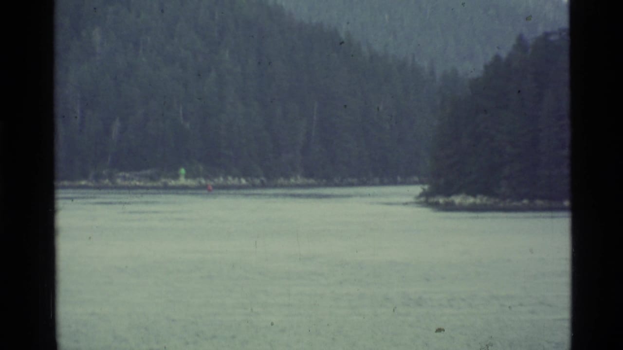 1977 Alaska 8mm frame showing calm water and a forested shoreline with soft focus and visible film grain.