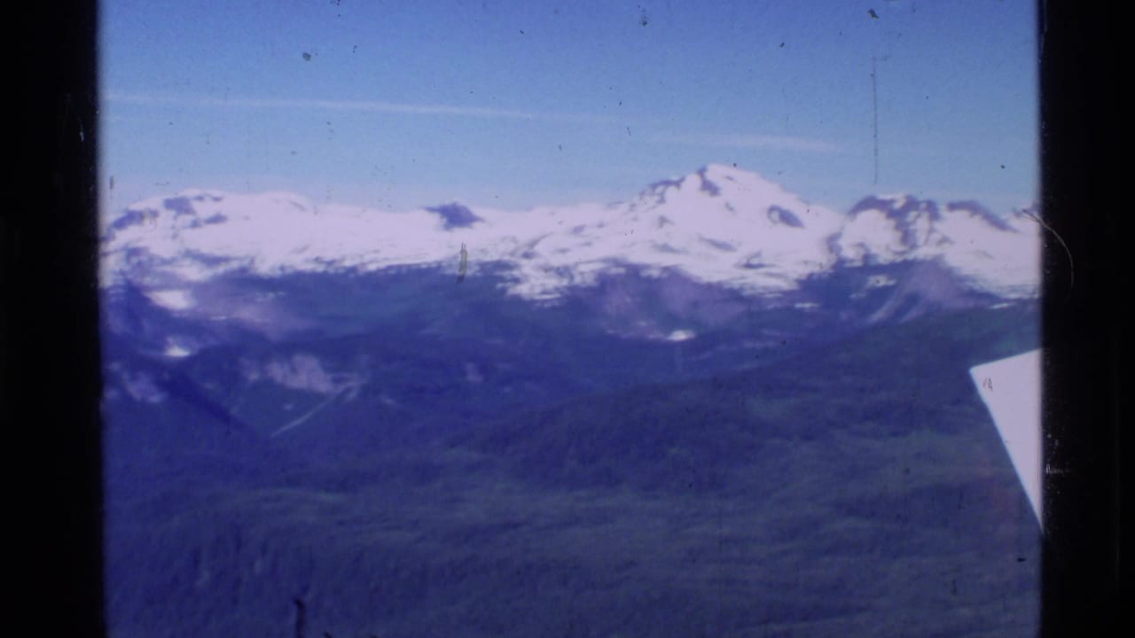 Snow-capped mountain range and forested valley seen from an aircraft window.