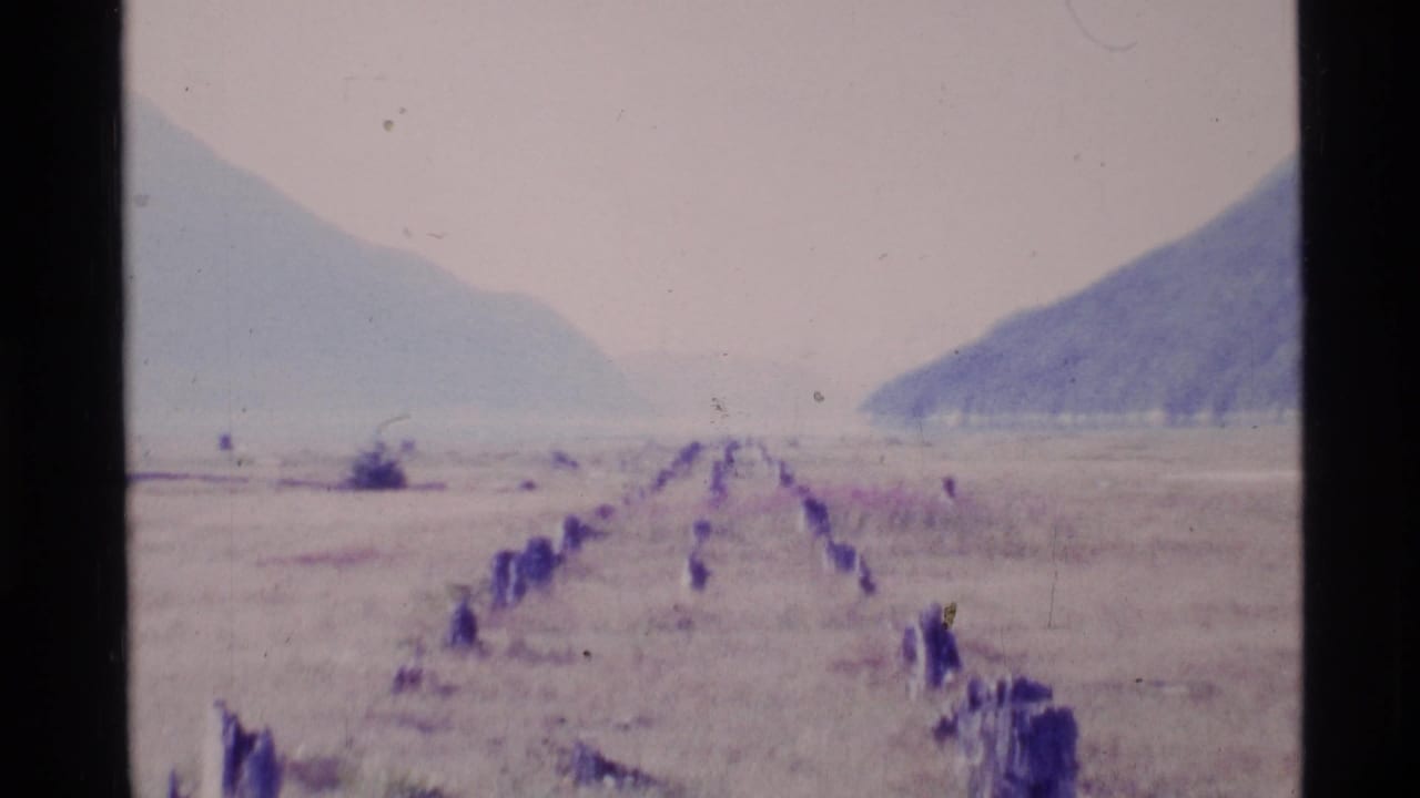 1977 Alaska home-movie frame showing a pale field between mountains, with a rough line of posts or stones receding toward the horizon.