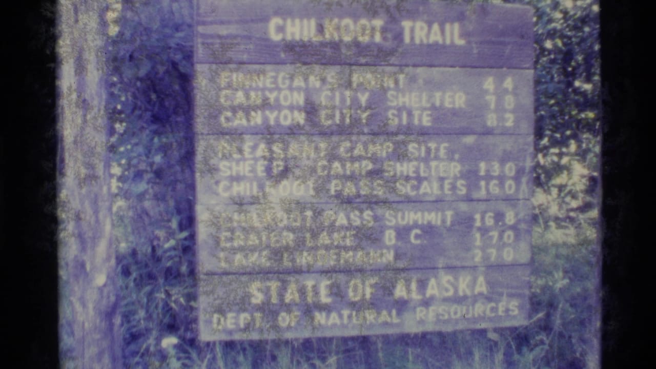 Weathered Chilkoot Trail wooden sign with route distances among forest vegetation.