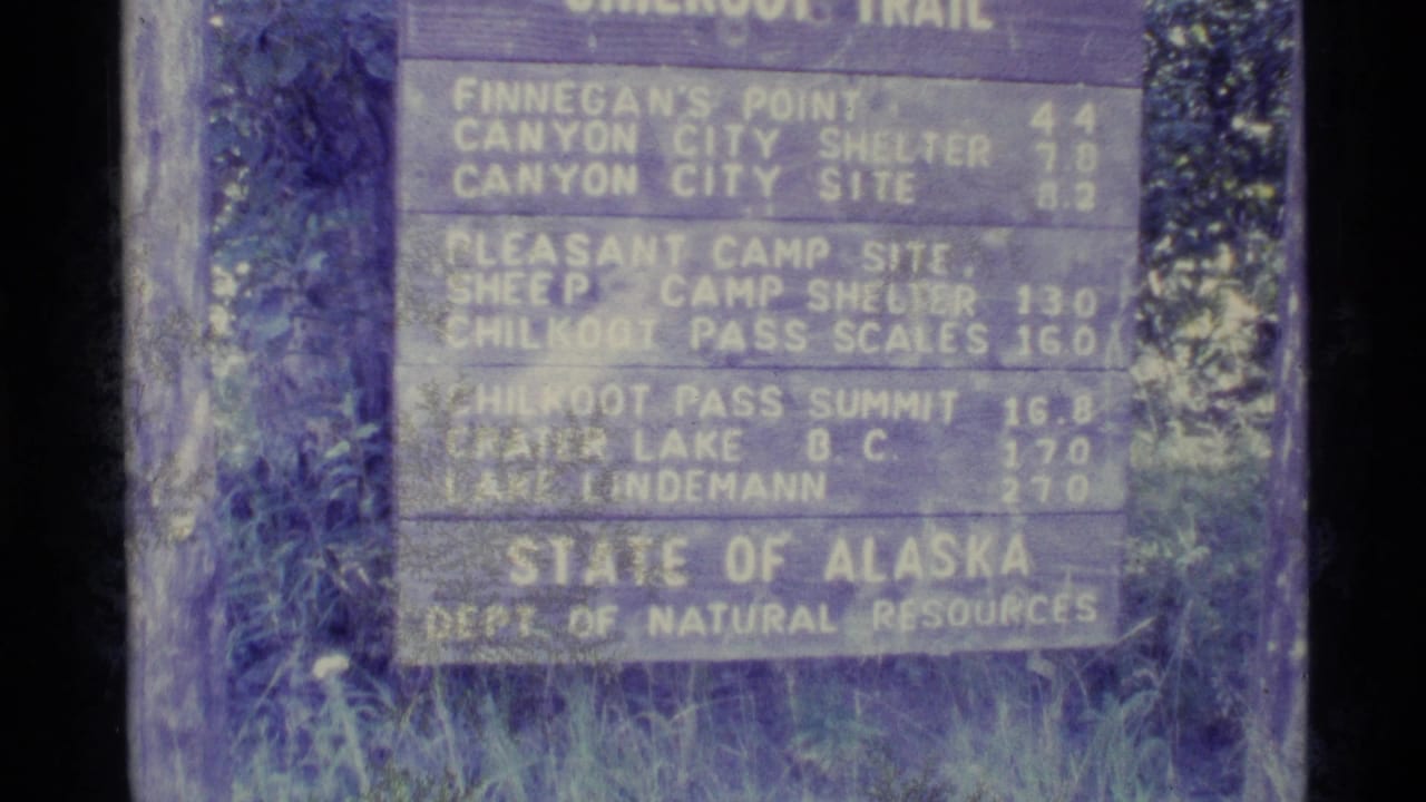 Wooden Alaska trail sign with distances listed beside trees and grass.