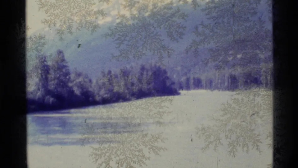 1977 Alaska 8mm frame of a snow-bright river or field bordered by evergreen trees, with frost-like marks across the film image.