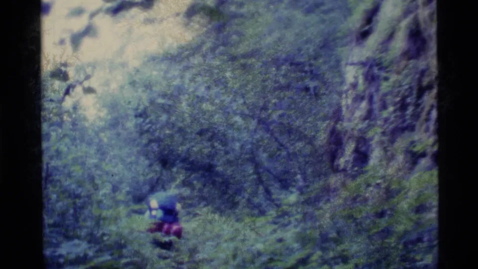 A distant backpacked hiker appears on an Alaska forest trail in a soft, blue-green 1977 8mm frame.