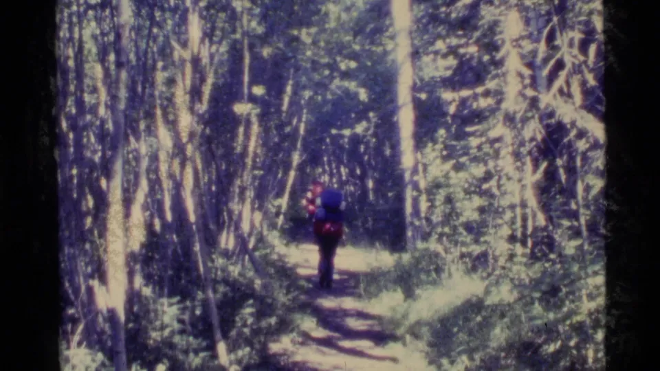 A hiker with a large backpack walks away on a narrow wooded path in Alaska, framed by tall trees and bright forest light.