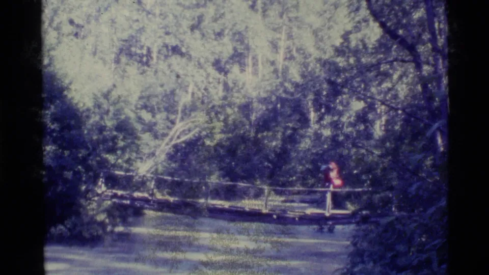 1977 Alaska 8mm frame showing backpackers on a narrow wooden footbridge surrounded by trees and creek water.