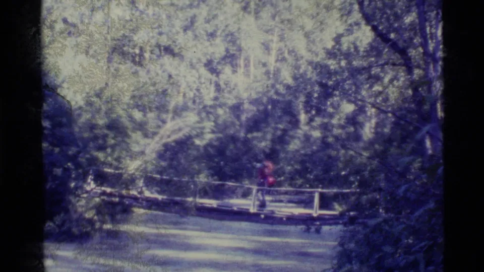 Soft 8mm view of hikers moving across a small bridge in an Alaskan forest, with water below and trees behind.