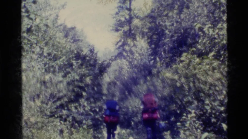 Backpackers recede along a narrow forest path, surrounded by tall trees and heavy vegetation.