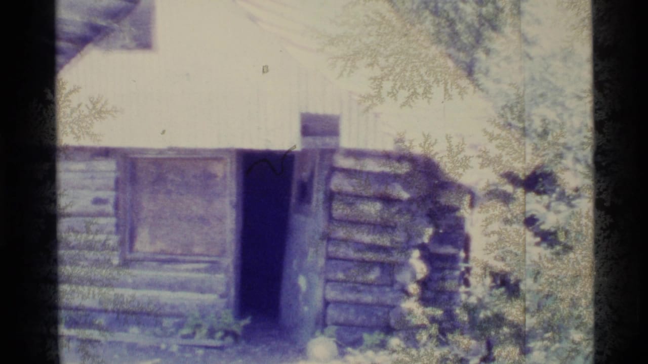 Weathered log cabin wall with an open doorway surrounded by trees and brush.