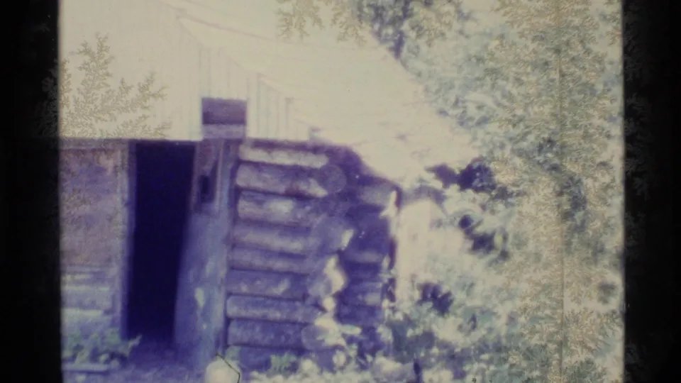 1977 Alaska home-movie frame of a weathered log cabin, dark doorway, leafy branches, and rough wooden walls.