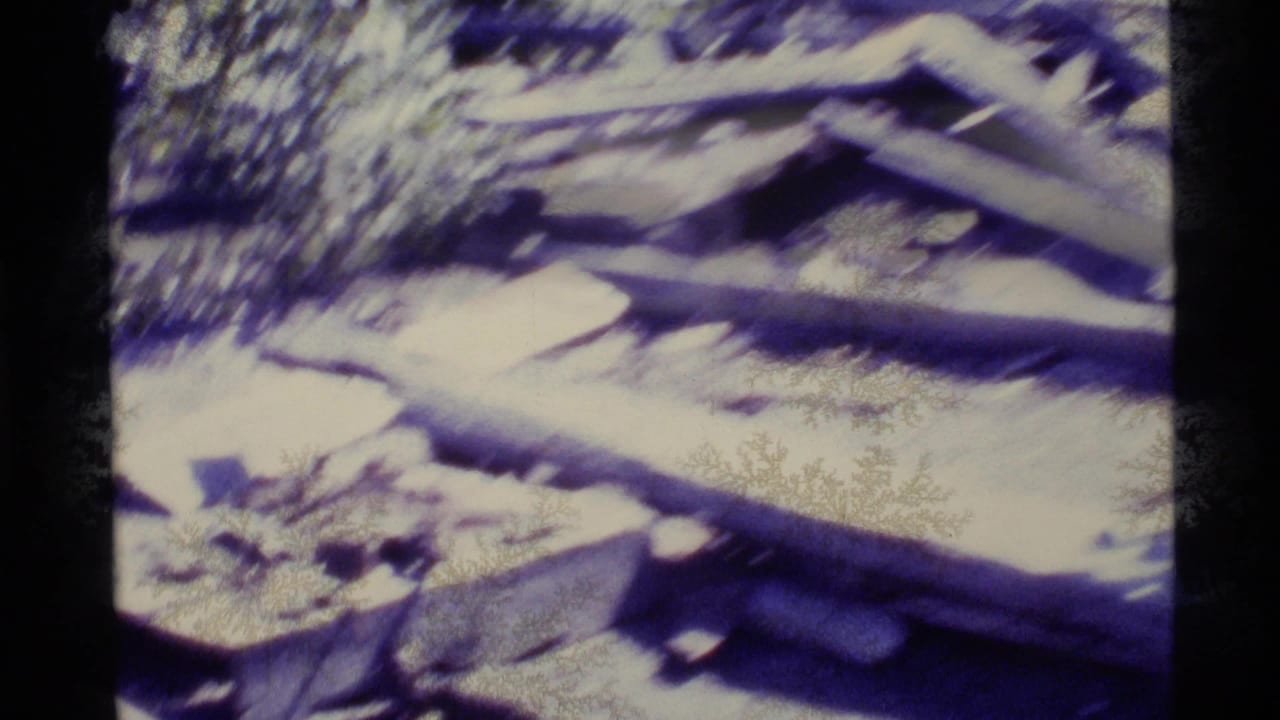 Soft 8mm frame from Alaska footage showing rough logs or trail materials in a wooded mountain setting.