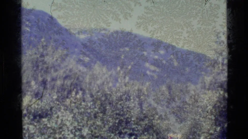Alaska mountain slope seen beyond dense roadside or trail vegetation in grainy 1970s 8mm footage.