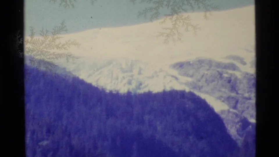 Wide 1977 Alaska home-movie view of a snowy mountain valley above dense evergreen slopes, softened by 8mm exposure and color shift.