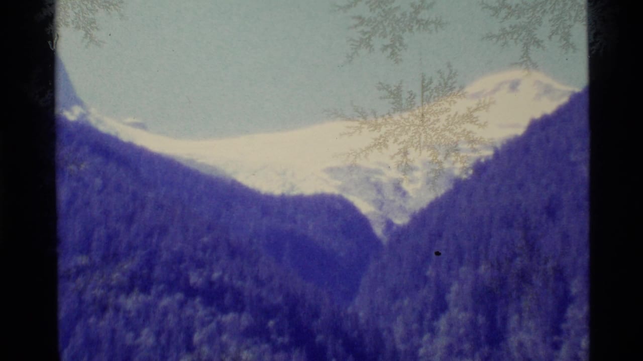 1977 Alaska home-movie frame showing a snow-capped mountain behind forested slopes, with pale sky, soft focus, and visible film edges.
