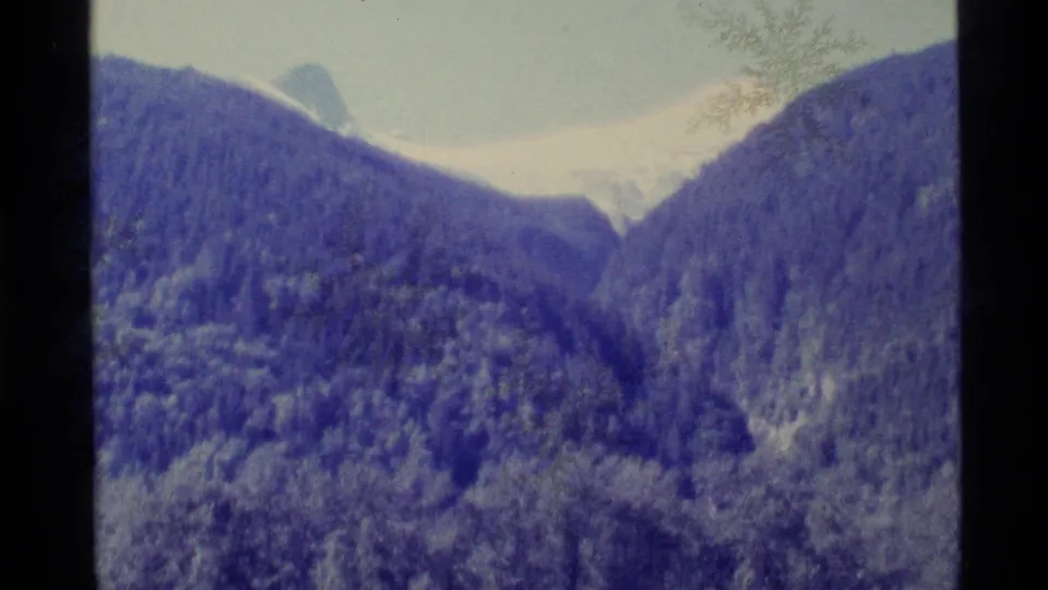 1977 Alaska 8mm frame showing a forested valley leading toward snowy high ground, with strong color shift and a soft home-movie texture.