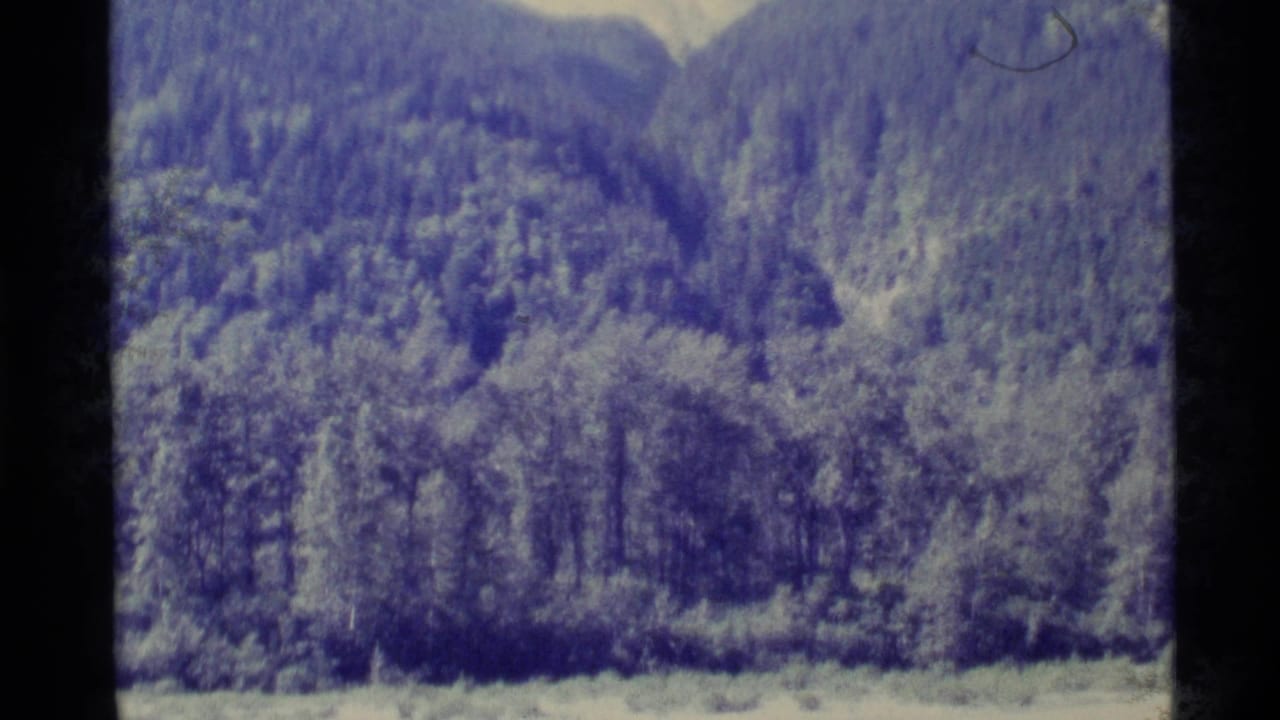 A soft blue 8mm view shows dense Alaskan forest and mountain slopes descending toward a pale meadow.