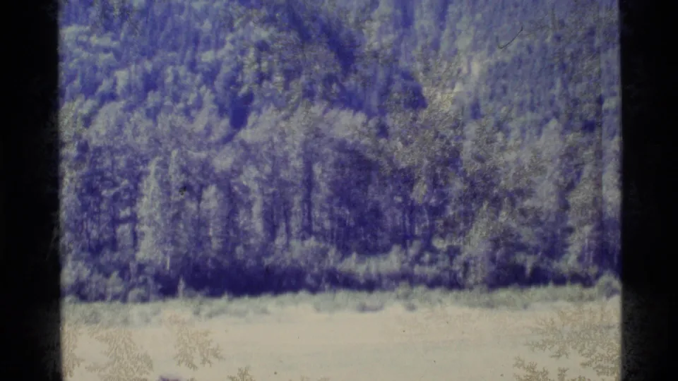 The pan settles on a dark band of forest with a bright open field below and visible small-gauge film edges.