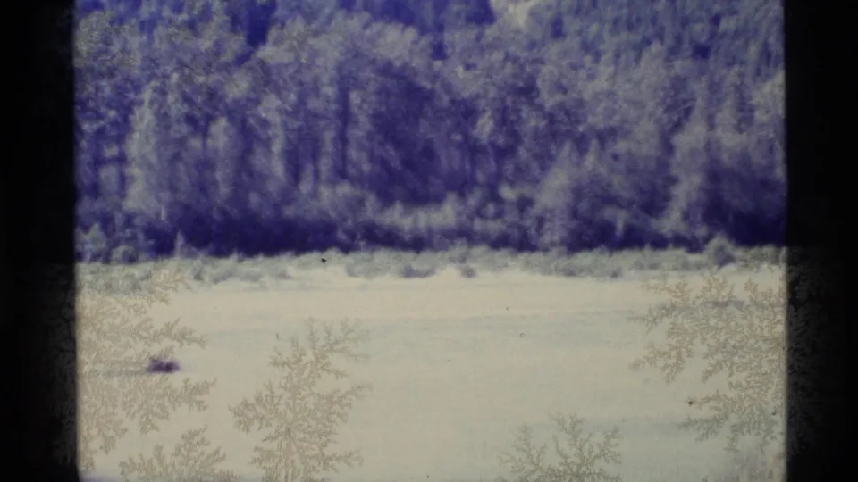 A lower view in the pan shows blurred trees and brush above a pale field, with grain and blue color shift.