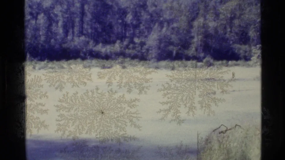 The final frame shows a pale field with low brush and a dense forest edge, marked by grain and film texture.