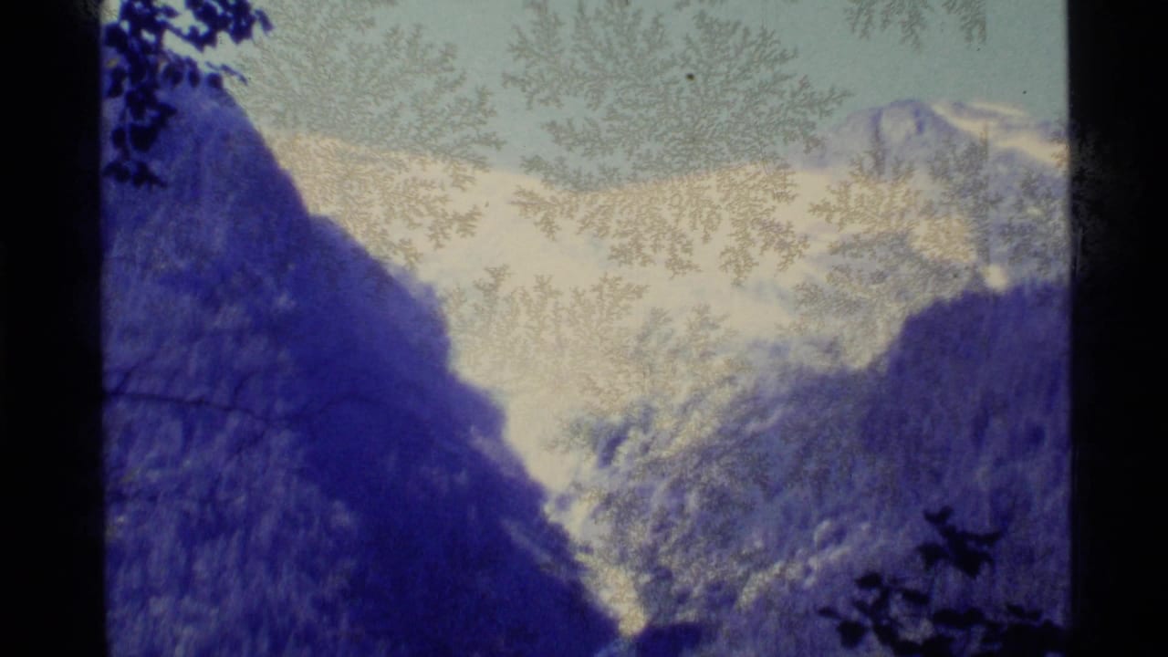 1977 Alaska 8mm frame showing snowy mountain ridges, bright sky, blue color cast, and silhouetted branches at the edge.