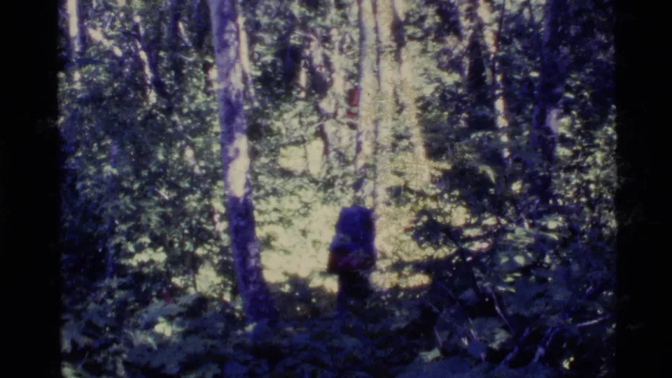 1977 Alaska 8mm frame showing a distant backpacked hiker walking through a dense forest trail area.